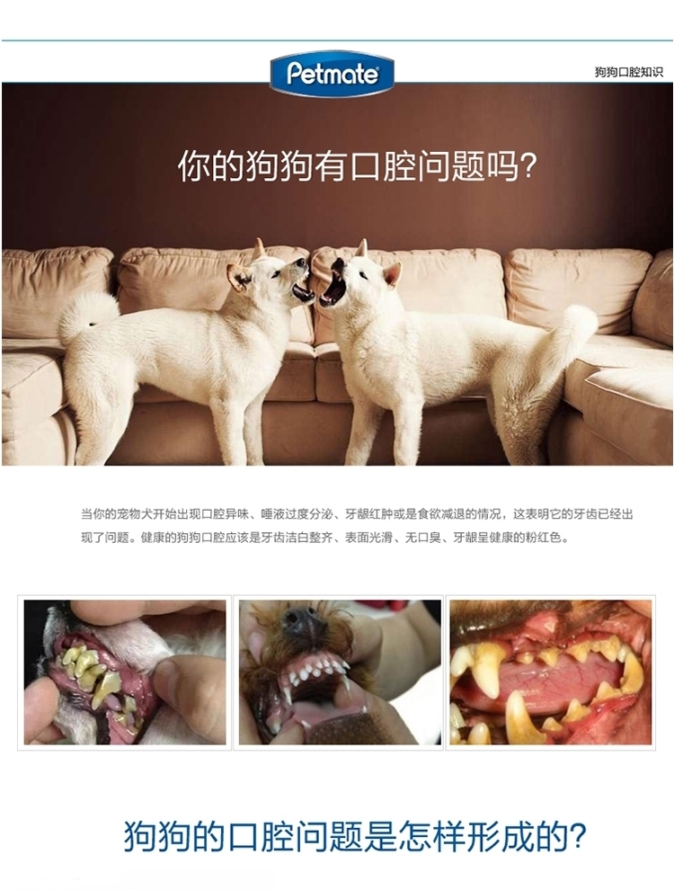 美国petmate 狗斯拉橡胶绳结双重洁牙玩具 狗玩具
