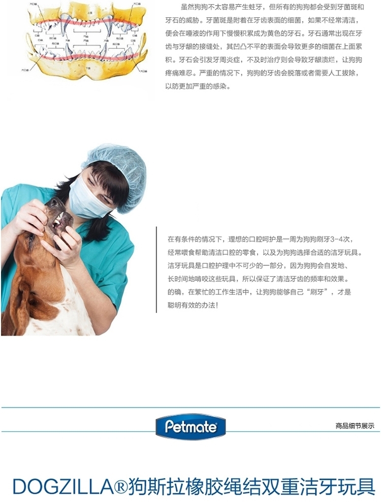 美国petmate 狗斯拉橡胶绳结双重洁牙玩具 狗玩具