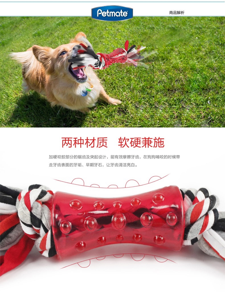 美国petmate 狗斯拉橡胶绳结双重洁牙玩具 狗玩具