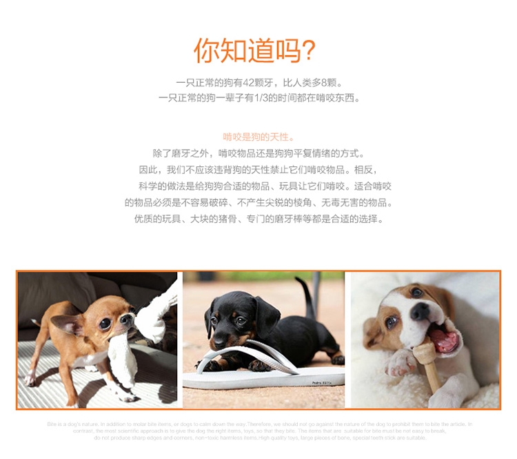 petmate 尼龙胶耐咬磨牙骨头狗玩具 美国进口