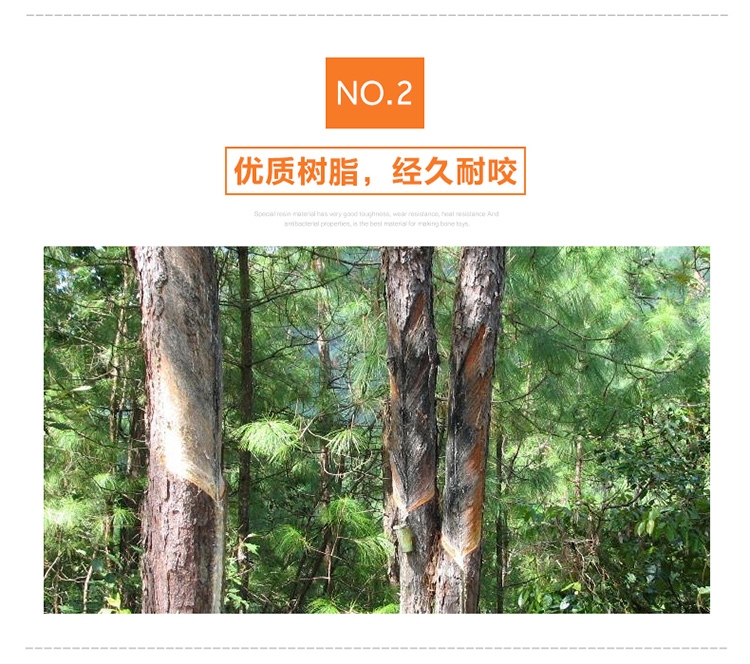 petmate 尼龙胶耐咬磨牙骨头狗玩具 美国进口