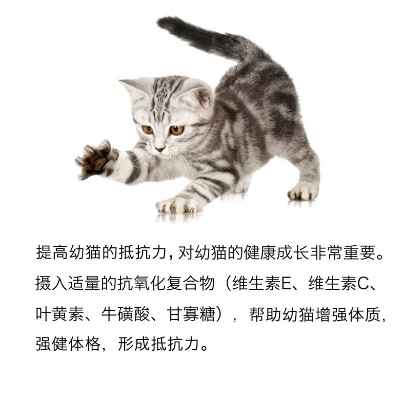 醇粹 哺乳期和12月以下幼猫奶糕2kg 天然猫粮