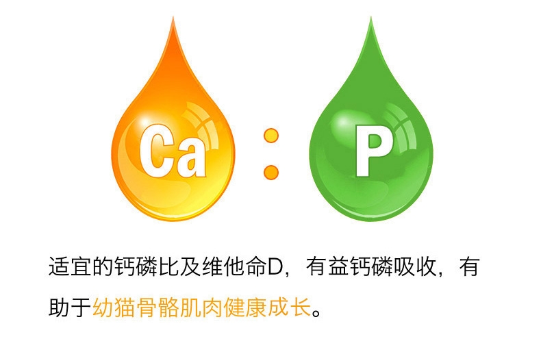 醇粹 哺乳期和12月以下幼猫奶糕2kg 天然猫粮