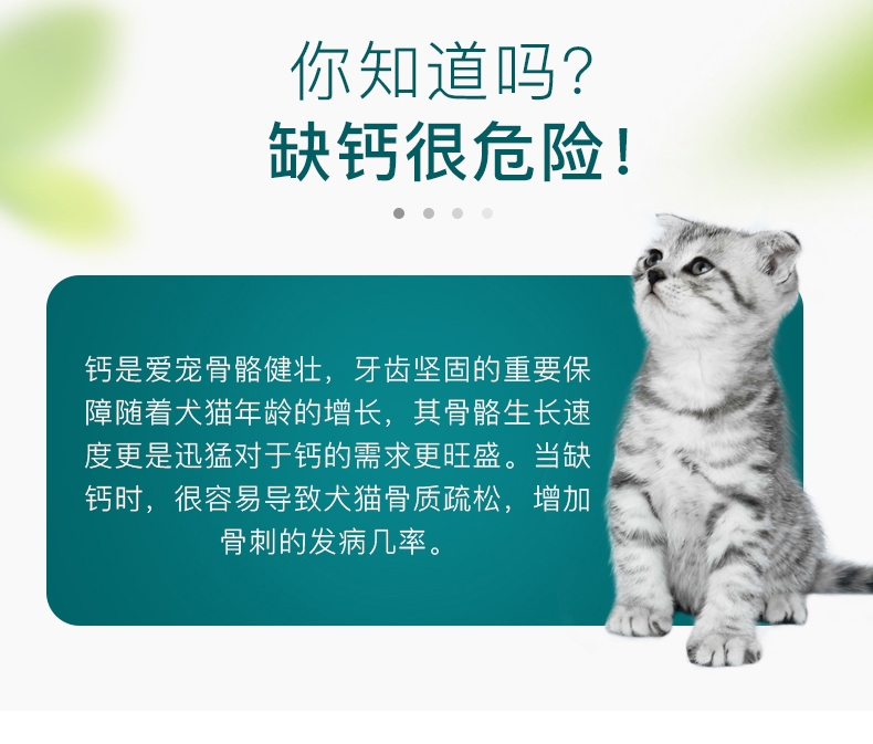 怡亲Yoken 猫狗通用浓缩钙片 0.5g*160片 促进骨骼发育