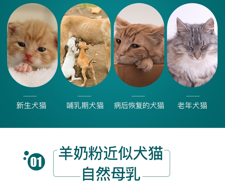 怡亲Yoken 犬猫用成长舒化羊奶粉 300g 浓缩乳清蛋白 防腹泻