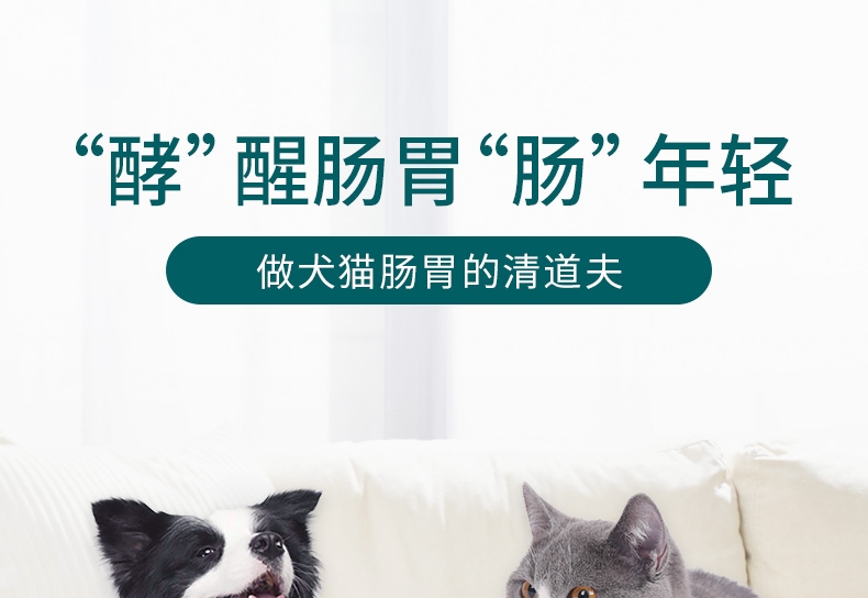 怡亲Yoken 犬猫用肠胃宝酵素益生菌 10*5g 腹泻便秘肠炎消化不良适用
