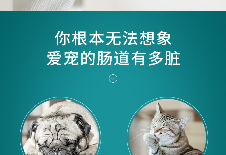 怡亲Yoken 犬猫用肠胃宝酵素益生菌 10*5g 腹泻便秘肠炎消化不良适用