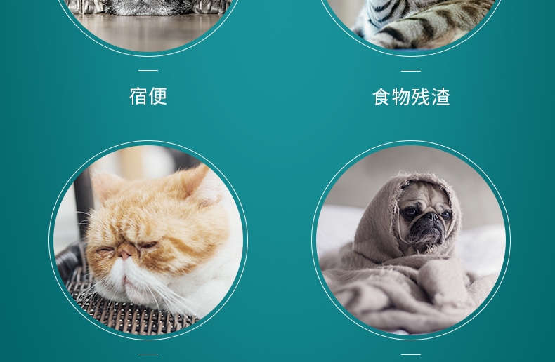 怡亲Yoken 犬猫用肠胃宝酵素益生菌 10*5g 腹泻便秘肠炎消化不良适用