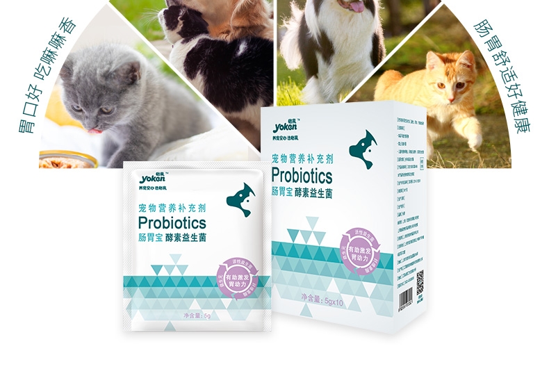 怡亲Yoken 犬猫用肠胃宝酵素益生菌 10*5g 腹泻便秘肠炎消化不良适用