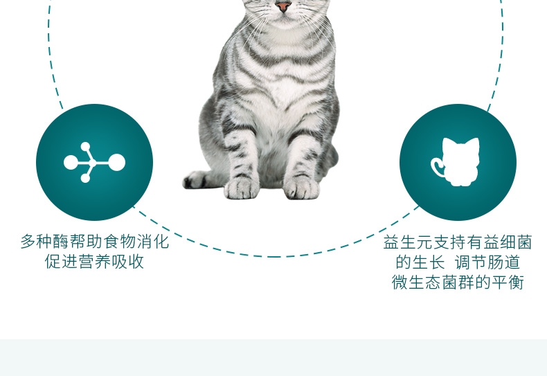 怡亲Yoken 犬猫用肠胃宝酵素益生菌 10*5g 腹泻便秘肠炎消化不良适用
