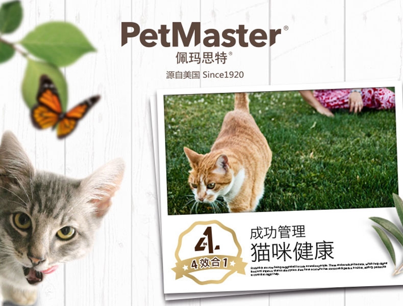 佩玛思特 幼猫粮天然非转基因猫粮10kg