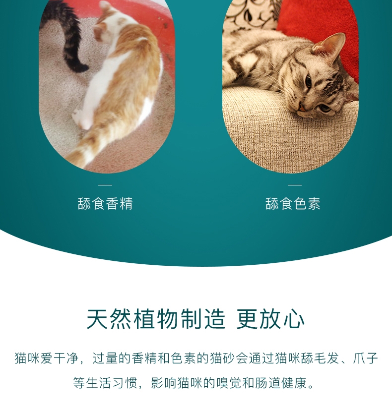 怡亲Yoken 天然松木猫砂 (5L)2.8kg 天然环保无粉尘