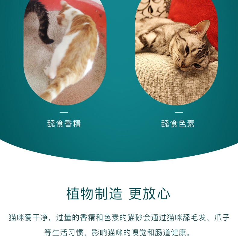 怡亲Yoken 天然松木猫砂 (5L)2.8kg 天然环保无粉尘