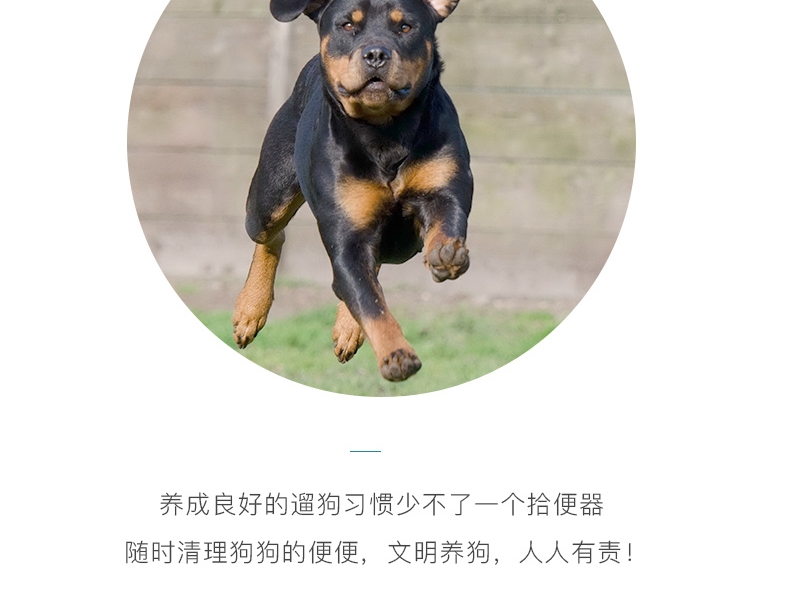 怡亲Yoken 宠物拾便器外出遛宠必备