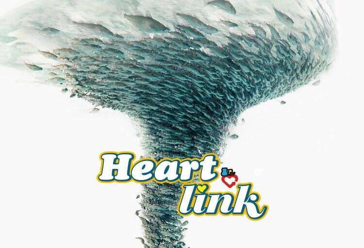 Heartlink 精灵猫白肉银罐金枪鱼+虾猫罐头170g 猫湿粮