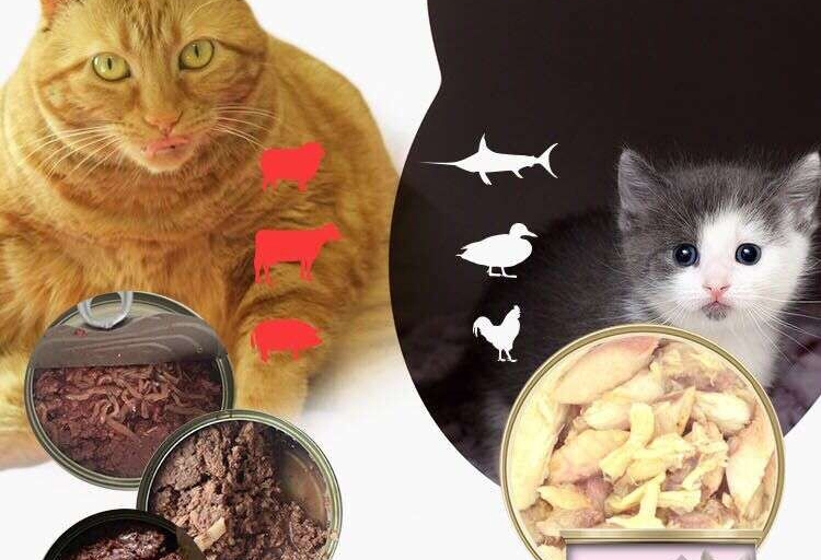 Heartlink 精灵猫白肉银罐金枪鱼+虾猫罐头170g 猫湿粮
