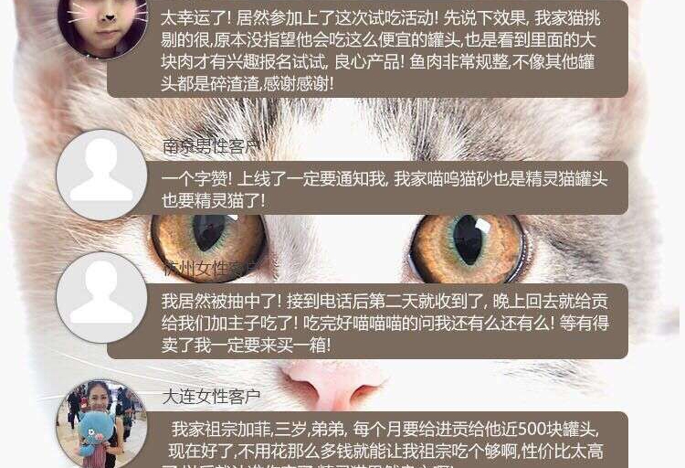 Heartlink 精灵猫白肉银罐金枪鱼+虾猫罐头170g 猫湿粮