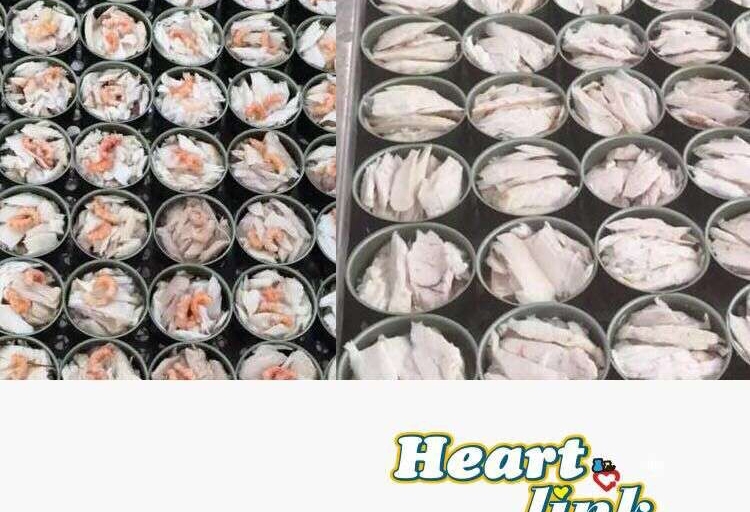 Heartlink 精灵猫白肉银罐金枪鱼+虾猫罐头170g 猫湿粮