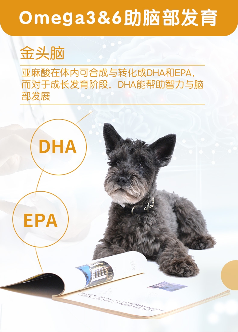 麦德氏inbasic 犬猫配方羊奶粉 300g 补充营养增强抵抗力