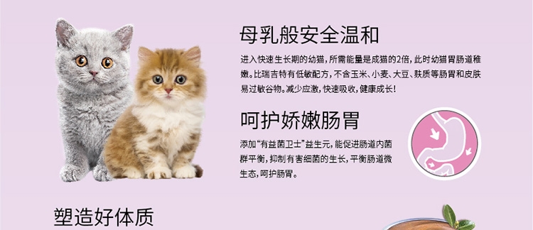 比瑞吉 益生元幼猫奶糕罐头 156g