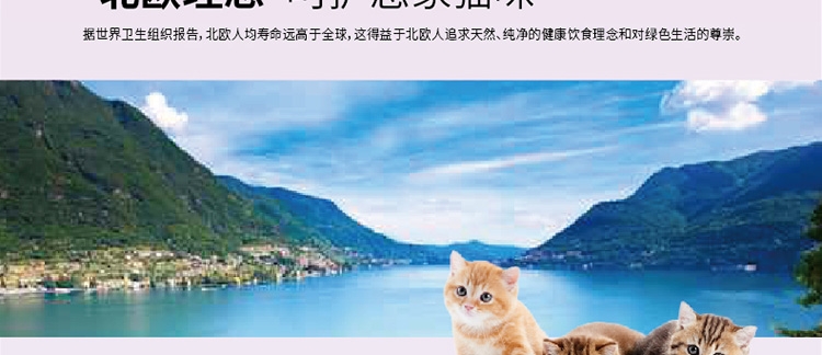 比瑞吉 益生元幼猫奶糕罐头 156g