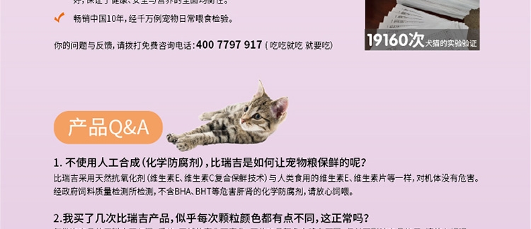 比瑞吉 益生元幼猫奶糕罐头 156g