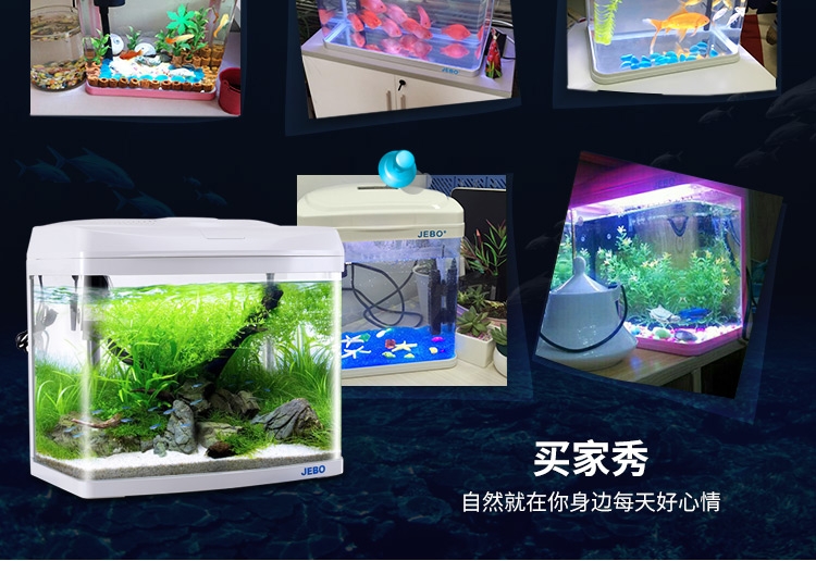 鱼缸水族箱 佳宝生态金鱼缸高清玻璃热带鱼创意观赏造景鱼缸