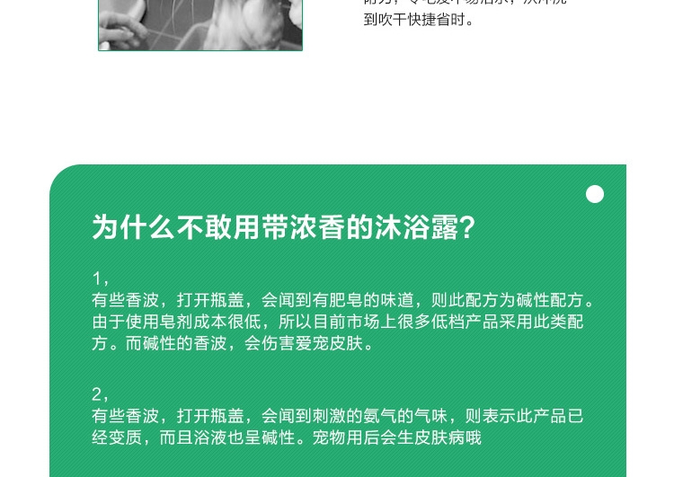 狮王LION 2合1无香型温和洁净香波 猫用 200ml