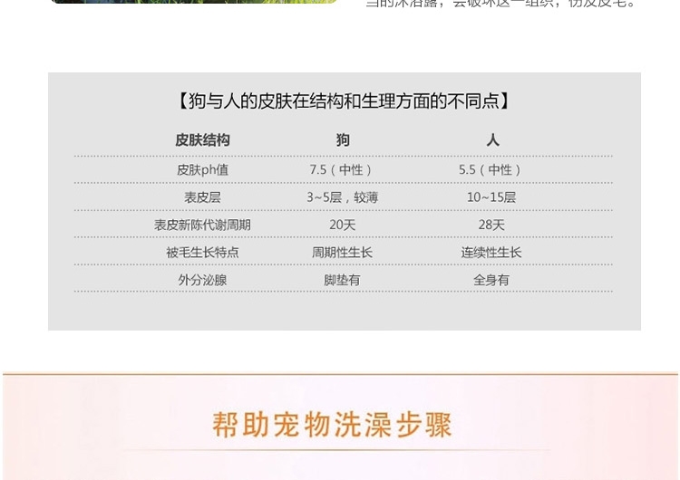 狮王LION 2合1无香型温和洁净香波 猫用 200ml