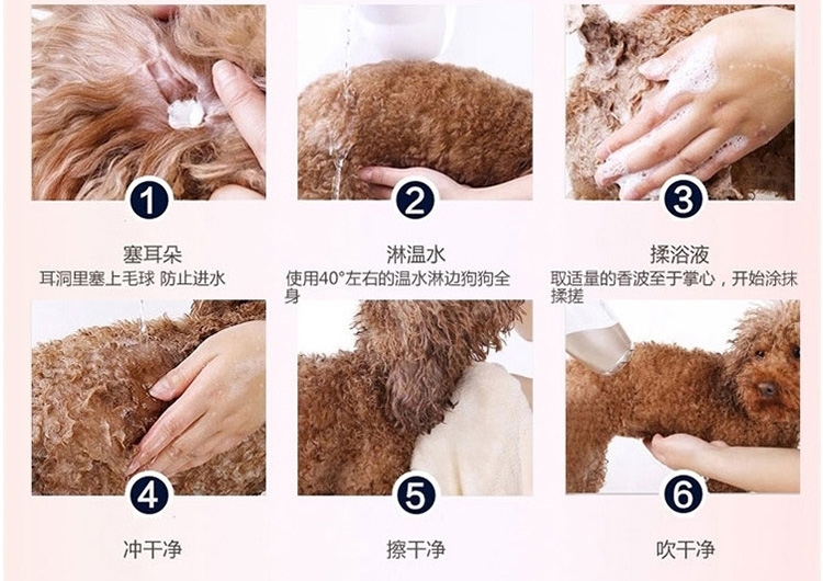 狮王LION 2合1无香型温和洁净香波 猫用 200ml