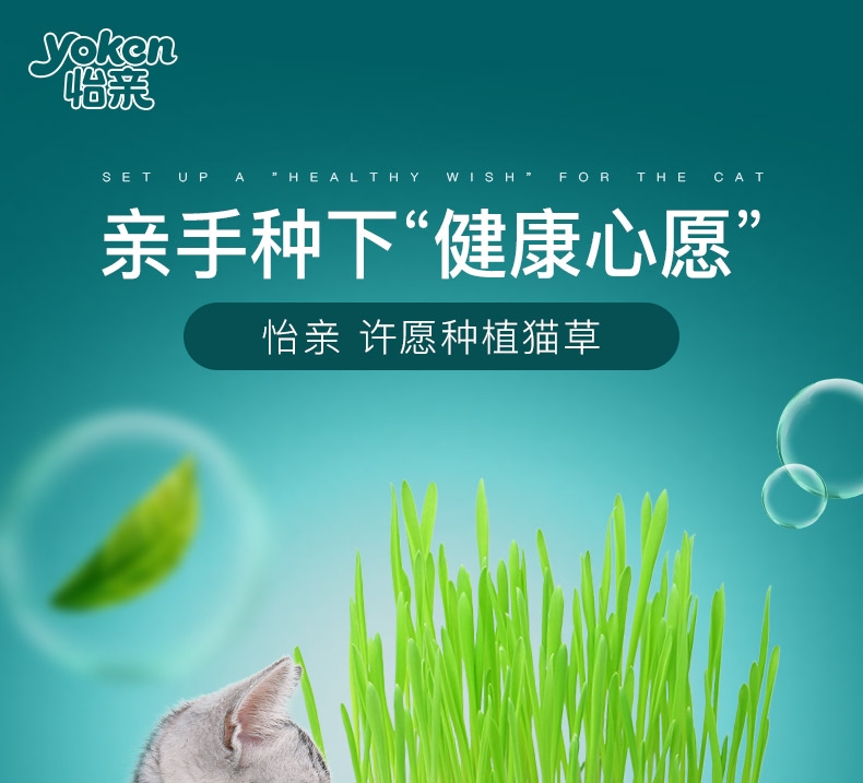 怡亲许愿种植猫草去毛球猫零食 19g(猫草种子+培育盒+培育土)
