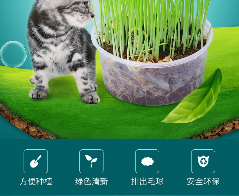 怡亲许愿种植猫草去毛球猫零食 19g(猫草种子+培育盒+培育土)