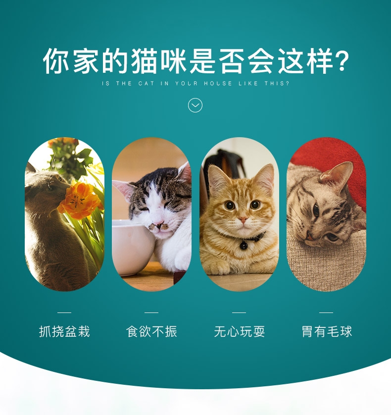 怡亲许愿种植猫草去毛球猫零食 19g(猫草种子+培育盒+培育土)