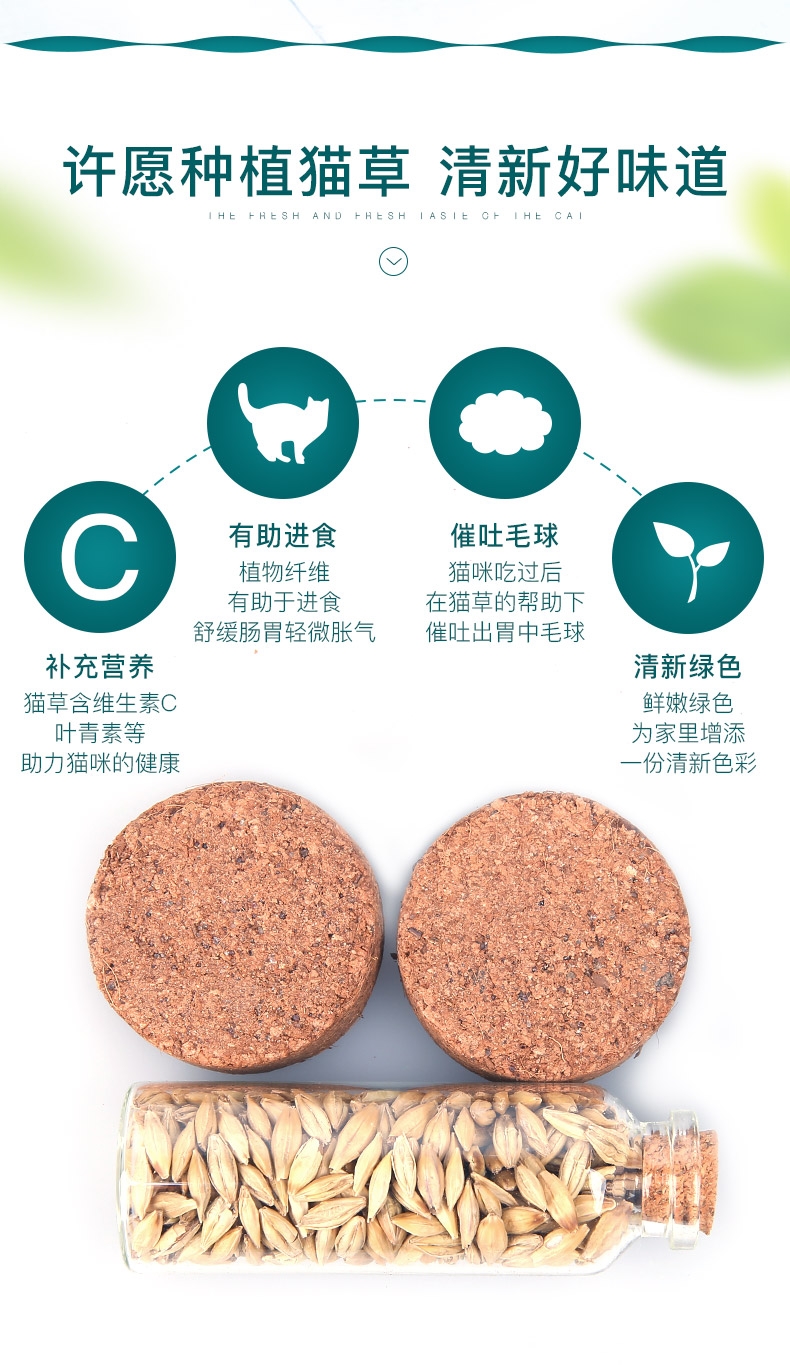 怡亲许愿种植猫草去毛球猫零食 19g(猫草种子+培育盒+培育土)