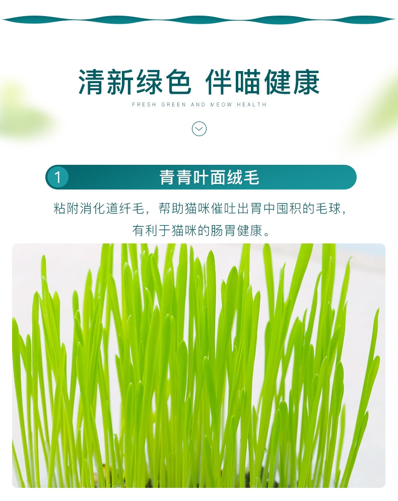 怡亲许愿种植猫草去毛球猫零食 19g(猫草种子+培育盒+培育土)