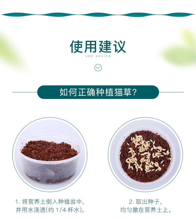 怡亲许愿种植猫草去毛球猫零食 19g(猫草种子+培育盒+培育土)