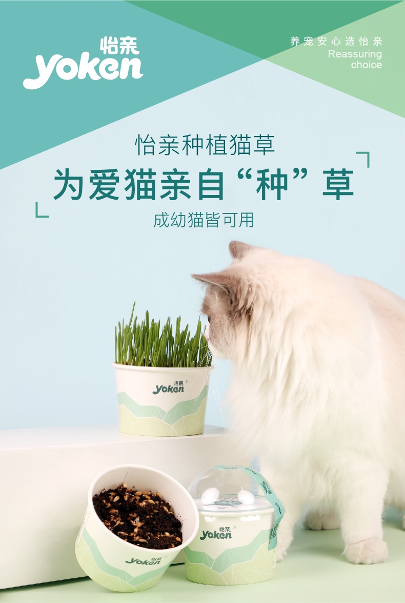 怡亲许愿种植猫草去毛球猫零食 20g(猫草种子+培育盒+培育土)