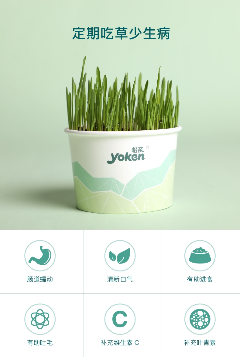 怡亲许愿种植猫草去毛球猫零食 20g(猫草种子+培育盒+培育土)