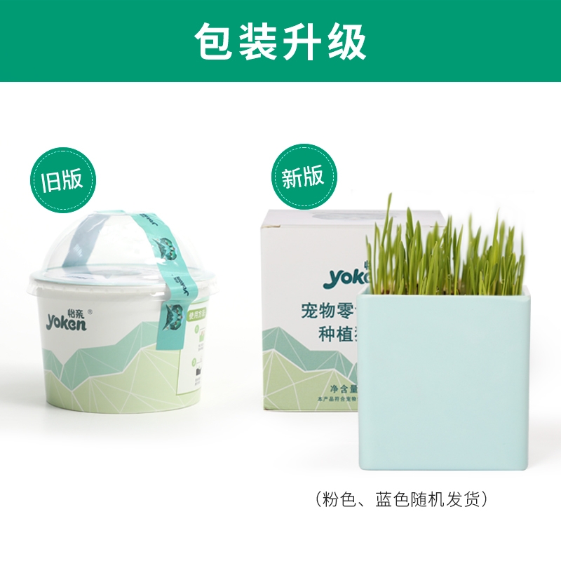 怡亲许愿种植猫草去毛球猫零食 20g(猫草种子+培育盒+培育土)