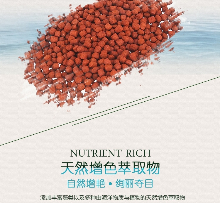 仟湖OF傲深FH-G1专业罗汉凸头饲料起头寿星头增头增色鱼粮