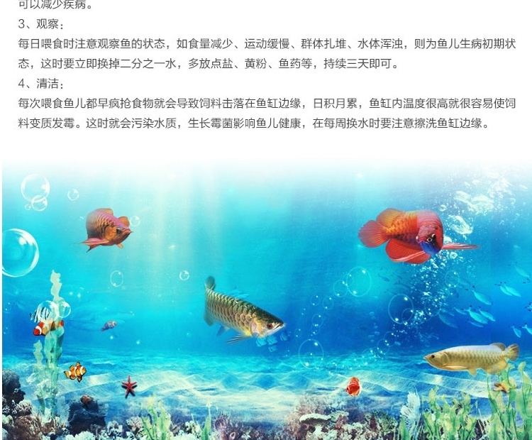 仟湖OF傲深天然浓缩黑水素龙鱼黑水素软水换水新缸水族用剂500ml