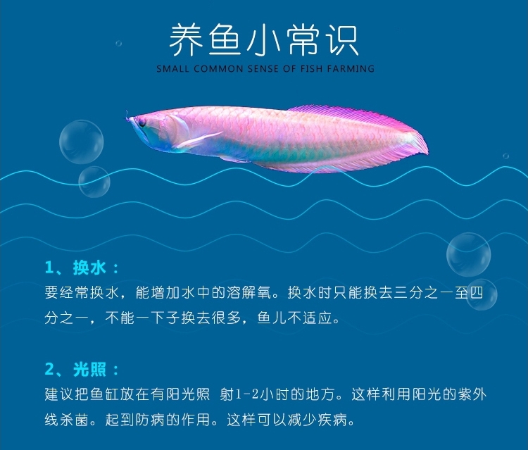 仟湖OF傲深外挂过滤器瀑布壁挂式鱼缸水族过滤设备外置