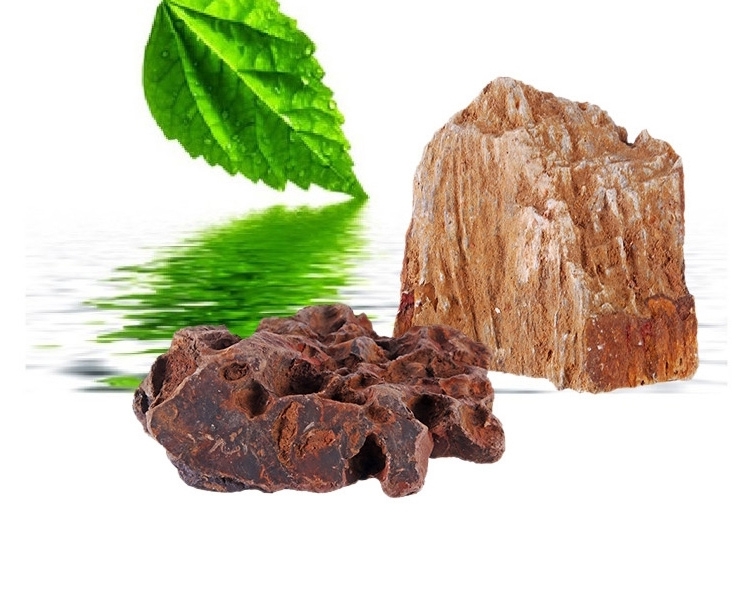 聚宝源 精品 松皮石 木化石 鱼缸水族箱造景装饰品龙骨水草造景石