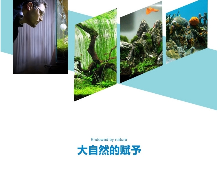 聚宝源 精品 松皮石 木化石 鱼缸水族箱造景装饰品龙骨水草造景石
