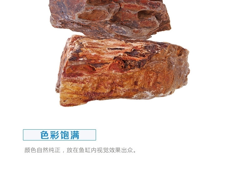 聚宝源 精品 松皮石 木化石 鱼缸水族箱造景装饰品龙骨水草造景石