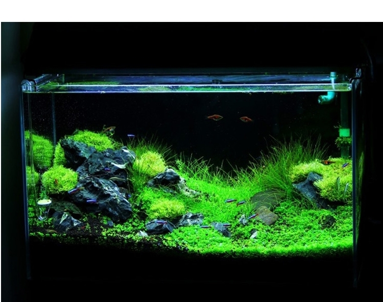 聚宝源 精品 松皮石 木化石 鱼缸水族箱造景装饰品龙骨水草造景石