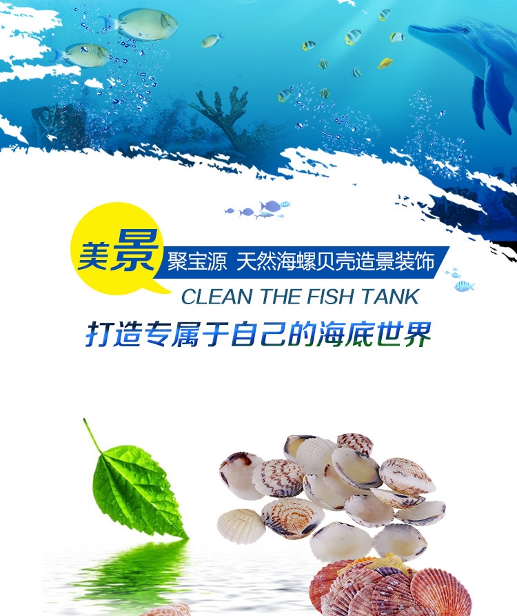 聚宝源 天然海螺贝壳套装海星摆件 鱼缸装饰造景