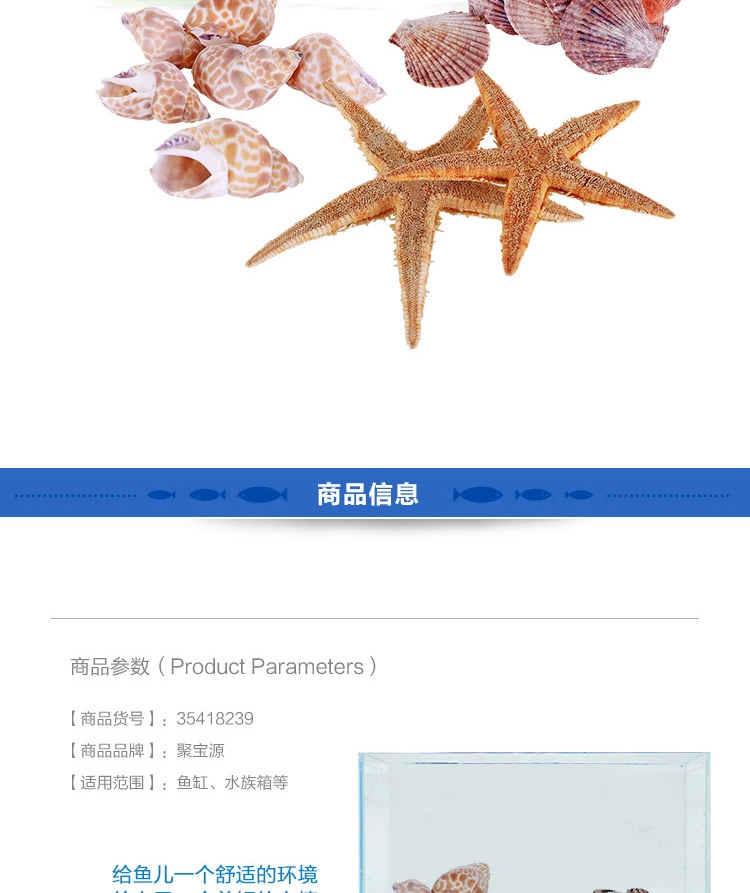聚宝源 天然海螺贝壳套装海星摆件 鱼缸装饰造景