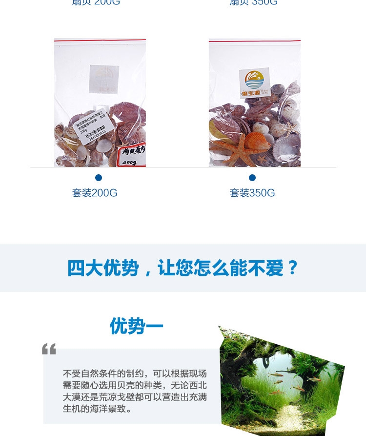 聚宝源 天然海螺贝壳套装海星摆件 鱼缸装饰造景