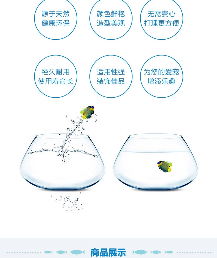 聚宝源 天然海螺贝壳套装海星摆件 鱼缸装饰造景